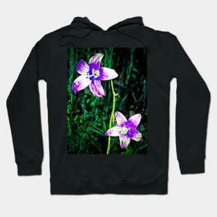 Bellflowers Hoodie